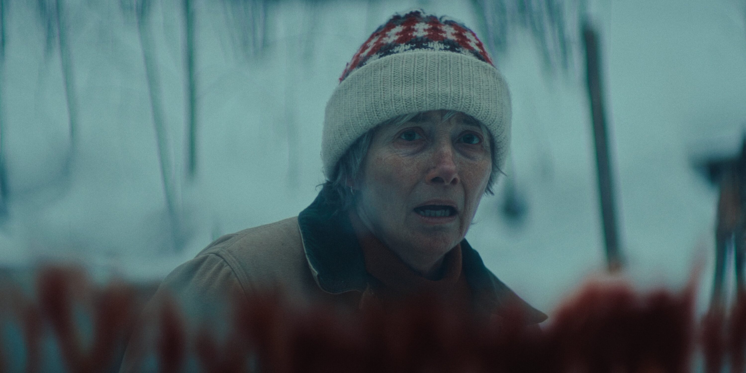 The Dead of Winter: Finland & Germany's Snowy Minnesota Stand-In